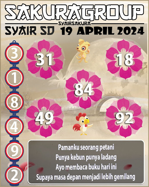 SYAIR SDY VIP